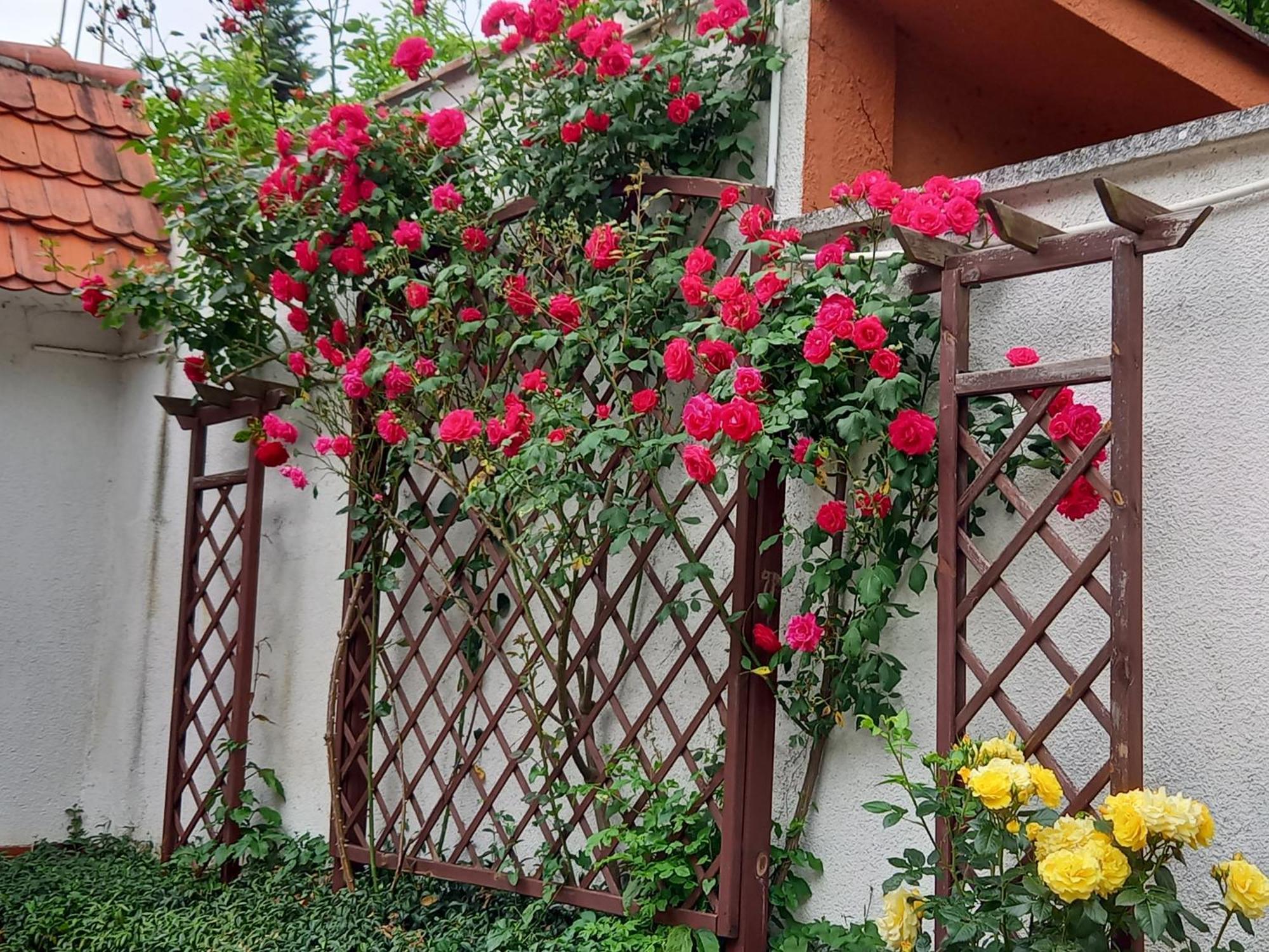 Apartament 2-Pokojowy 55 M2, Kolo Zoo, Hali Stulecia Breslau Exterior foto
